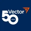 Vector Group